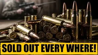 Ammo Price Collapse 2025 &mdash; The Hunting Calibers Everyone&rsquo;s Stockpiling!