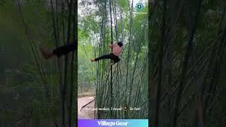 Some People Climb Trees, This Dude Climbs GIANT Toothpicks! 😂 He's a Real-Life Monkey Man! #bamboo