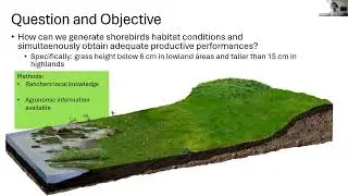 WHSG Webinar Series: Connecting research with management for shorebird conservation (Original audio)
