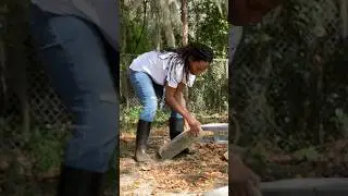 Making My Yard More Welcoming! #diy #landscape #gardening