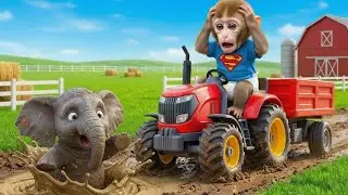 😱🐘 Обезьянка Зуки спасает слона, застрявшего в глубокой яме &mdash; его умный поступок шокирует всех! 🚨💥
