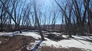 Louisville Swamp Minnesota