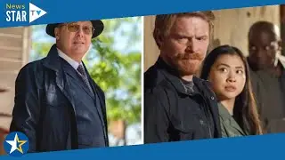 The Blacklist season 10 newcomer shares sneak peek at Siya Malik