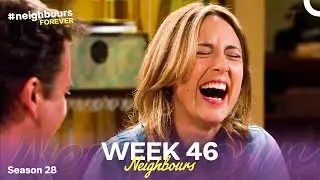 WEEK 46 | Episodes 6536-6540 | Neighbours 2012 (Season 28)