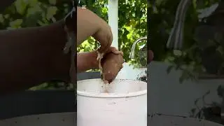 Pulling handles #pottery