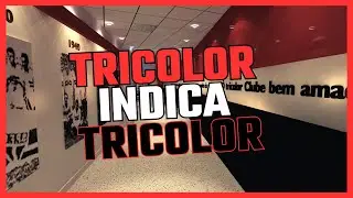 TRICOLOR INDICA TRICOLOR - ALE SALVADOR