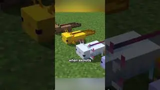 Зеленый аксолотль
