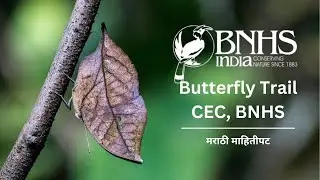 BNHS CEC Butterfly Trail | Marathi infovideo |Conservation Education Center BNHS |Mumbai Butterflies