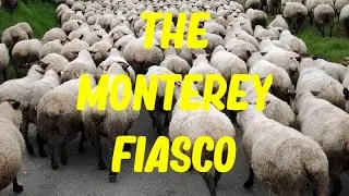 Another YouTube Fiasco : Paul Davids, China Guitar Sceptic, Jimi Hendrix and the Monterey Guitar