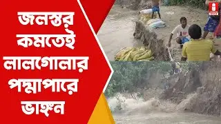 Lalgola Padma Erosion: জলস্তর কমতেই ফের ভয়াবহ পদ্মা ভাঙ্গন লালগোলায়