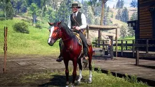 Наряды RDR2 для каждой лошади: рыжая арабская лошадь