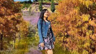 Tourist Spot in Taiwan | Pine tress in Miaoli Sanwan