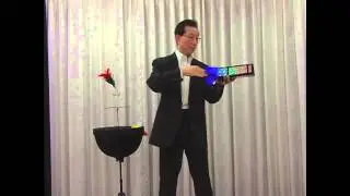 Flower Triangle DX by Honda / SEO MAGIC