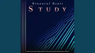 Ocean Waves and Brainwave Entrainment