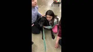 Dog Training Using Recallers Makes Me a Better Trainer