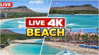 LIVE 4K Beach 🌊 | Crystal Clear Water & Relaxing Ocean View