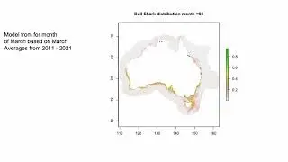 Bull Shark - predicted migration