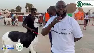 GUBA International Trade Fair Livestock Improvement with live coverage by SAAMA SA JURR NETWORK
