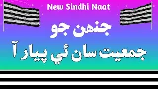 Jhanjo Jamiat Saan Aa Piyar | New Sindhi Molood | Sindhi Naat all | JUI Naat,s