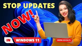 Stop Windows 11 Updates NOW &ndash; Pause for 5 Weeks! 😱💻