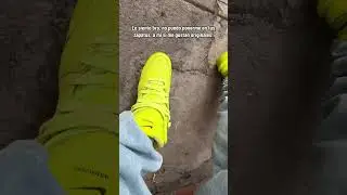 Loques! 🤷🏻&zwj;♂️🤭🔥 #sneakers #sneakerhead #dunkambush