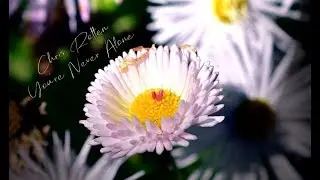 Chris Rotten - You're never alone (Demorecord)