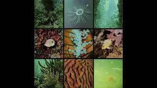 Ocean Floor - Ocean Floor (2011 - Full album)