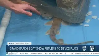 Close encounters with marine animals at the GR Boat Show