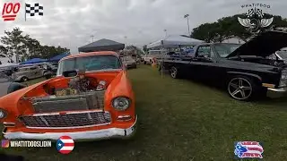 Classic Car Muscle Car Picnic