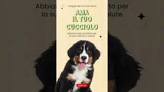 Pet Store. Realizzare social media video per aumentare il numero di clienti #videoediting #petstore