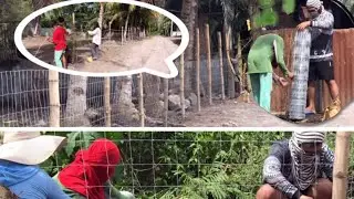 Fencing Using Hog Wire