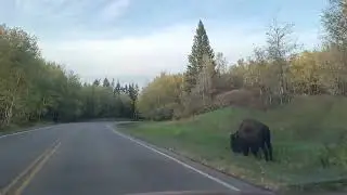 Elk Island Parkway 