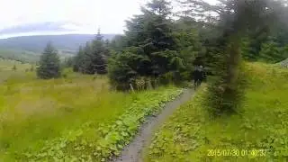 kielder deadwater trail