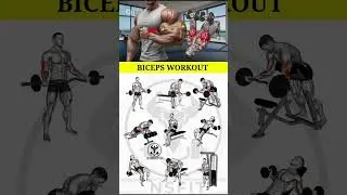 Best BICEPS TONE Workout Routine EVER!