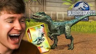Hatching VELOCIRAPTOR BLUE in JURASSIC WORLD THE GAME