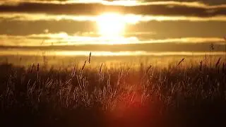 Isaiah 24   Audio Visual Bible