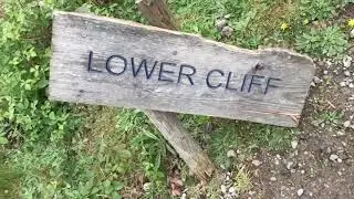 Bikes! First Video at cannock chase monkey trail