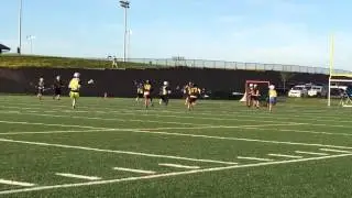 Will lax goal 6-24-2015