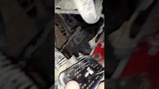 Diagnose Caterpillar engine. For bad ecm on P1 connector