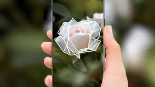 Plantlens identify plant 01