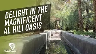 Soak up in Abu Dhabi Culture at Hili Oasis | Visit Abu Dhabi