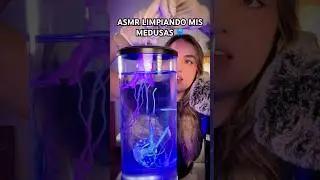MIS MASCOTAS MEDUSAS 🪼 #asmr