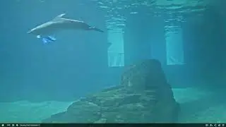 CMA Webcam 1/10/26