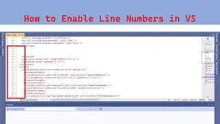 How to Enable Line Numbers in Visual Studio 2010 |Clever Learning