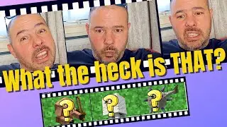 The Ultimate Minecraft NOOB Quiz - Can you guess what mob Alex describes?