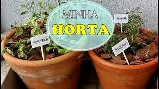 HORTA NA VARANDA - Didi Trist&atilde;o