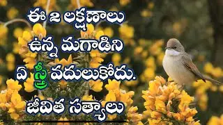 జీవిత సత్యాలు #356 |మంచి మాటలు|Inspirational quotes|Motivational quotes|సూక్తులు|Telugu quotes