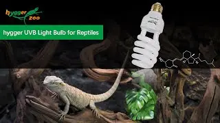 hygger UVA UVB Reptile Light Bulb