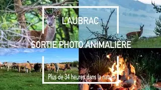 PHOTO ANIMALIÈRE | AUBRAC | Plus de 34h dans la nature - Vues de drone