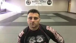 Carlson Gracie Team
